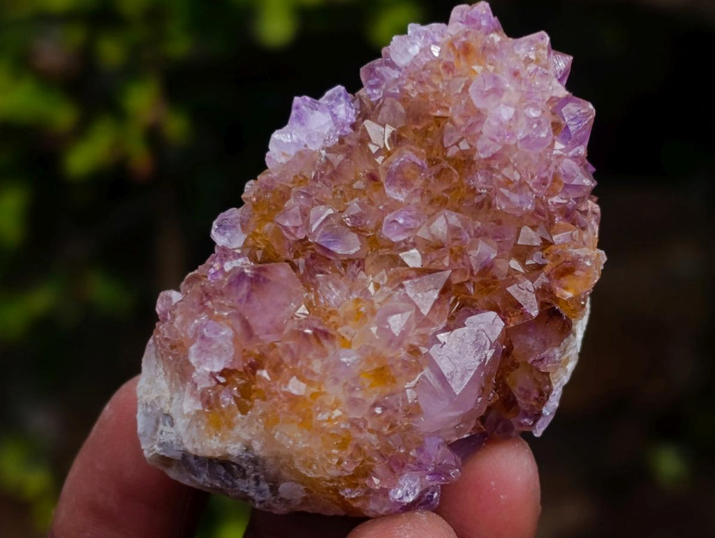 Natural Mix of Spirit Quartz Clusters x 12 From Boekenhouthoek, South Africa - Toprock Gemstones and Minerals 