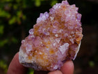 Natural Mix of Spirit Quartz Clusters x 12 From Boekenhouthoek, South Africa - Toprock Gemstones and Minerals 