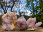 Natural Mix of Spirit Quartz Clusters x 12 From Boekenhouthoek, South Africa - Toprock Gemstones and Minerals 