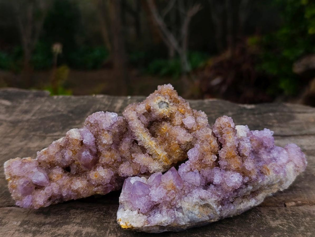 Natural Mix of Spirit Quartz Clusters x 12 From Boekenhouthoek, South Africa - Toprock Gemstones and Minerals 