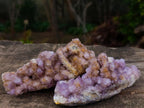 Natural Mix of Spirit Quartz Clusters x 12 From Boekenhouthoek, South Africa - Toprock Gemstones and Minerals 