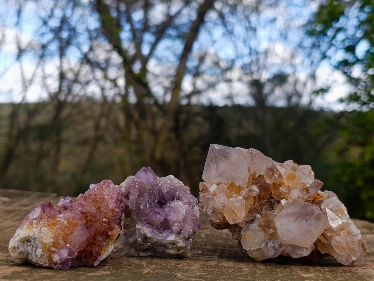 Natural Mix of Spirit Quartz Clusters x 12 From Boekenhouthoek, South Africa - Toprock Gemstones and Minerals 