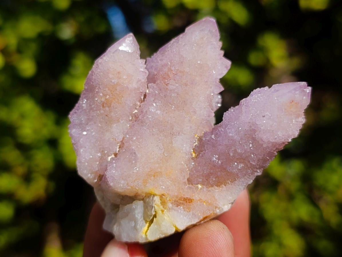 Natural Mix of Spirit Quartz Clusters x 12 From Boekenhouthoek, South Africa - Toprock Gemstones and Minerals 