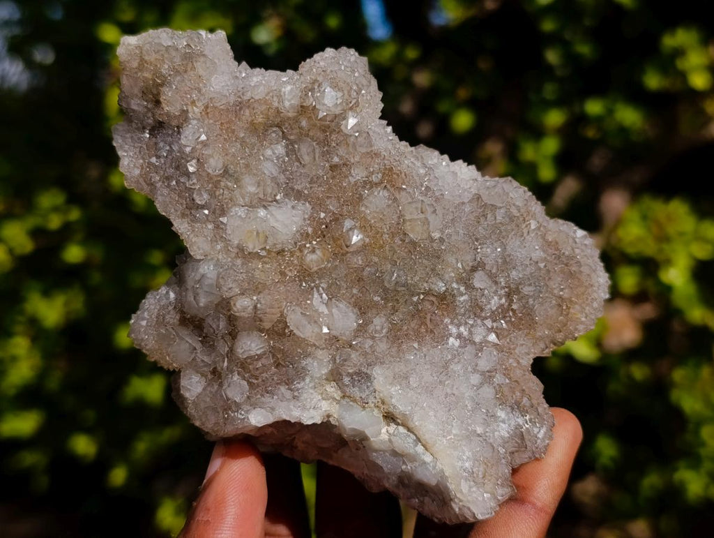 Natural Mix of Spirit Quartz Clusters x 12 From Boekenhouthoek, South Africa - Toprock Gemstones and Minerals 
