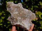 Natural Mix of Spirit Quartz Clusters x 12 From Boekenhouthoek, South Africa - Toprock Gemstones and Minerals 