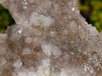 Natural Mix of Spirit Quartz Clusters x 12 From Boekenhouthoek, South Africa - Toprock Gemstones and Minerals 