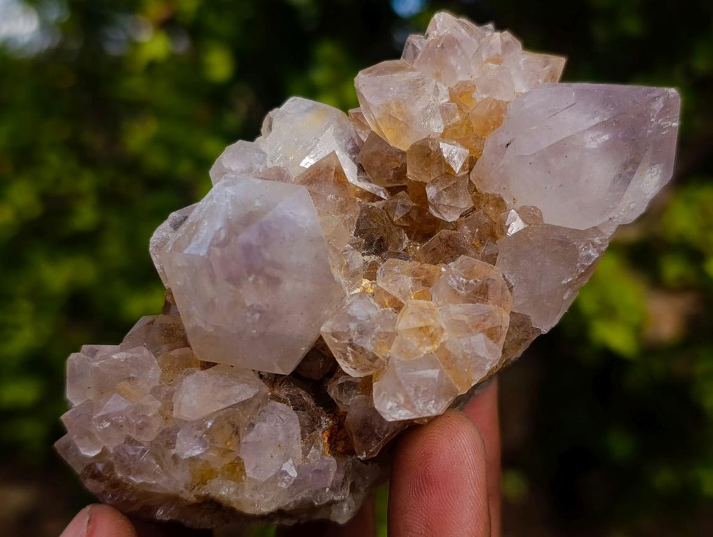Natural Mix of Spirit Quartz Clusters x 12 From Boekenhouthoek, South Africa - Toprock Gemstones and Minerals 