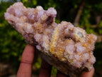 Natural Mix of Spirit Quartz Clusters x 12 From Boekenhouthoek, South Africa - Toprock Gemstones and Minerals 