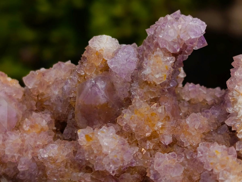 Natural Mix of Spirit Quartz Clusters x 12 From Boekenhouthoek, South Africa - Toprock Gemstones and Minerals 