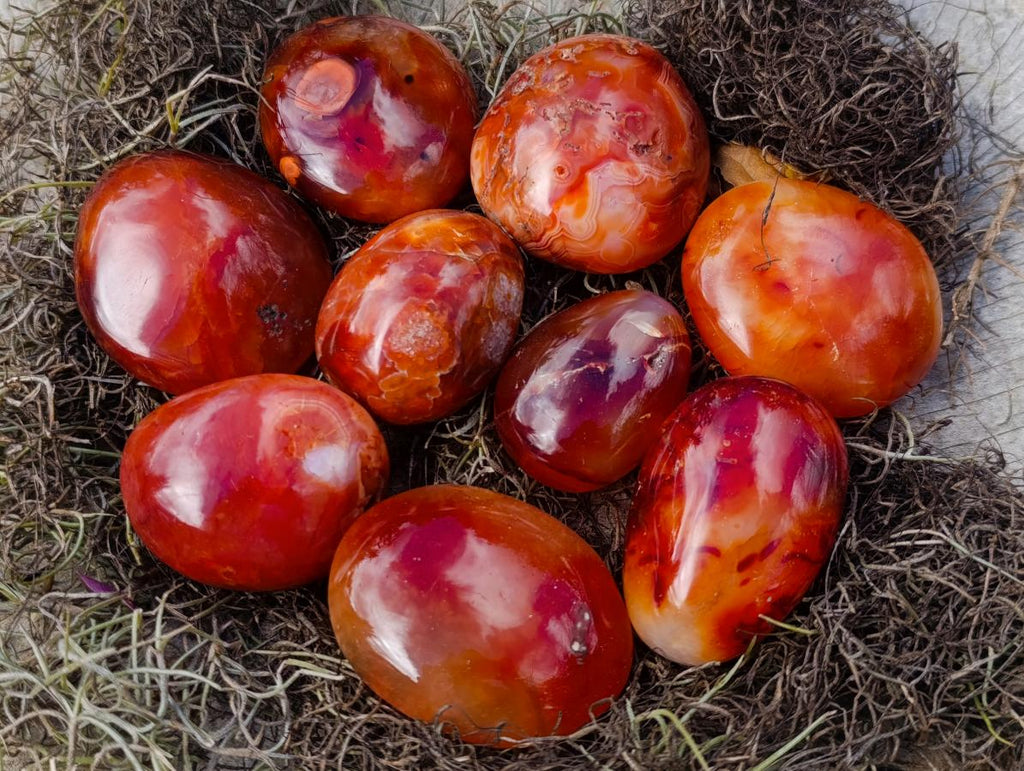 Polished Carnelian Agate Gemstone Galets x 24 From Madagascar - Toprock Gemstones and Minerals 