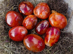 Polished Carnelian Agate Gemstone Galets x 24 From Madagascar - Toprock Gemstones and Minerals 