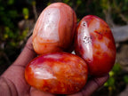 Polished Carnelian Agate Gemstone Galets x 24 From Madagascar - Toprock Gemstones and Minerals 
