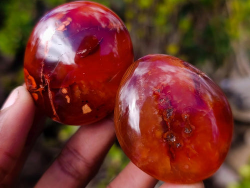 Polished Carnelian Agate Gemstone Galets x 24 From Madagascar - Toprock Gemstones and Minerals 