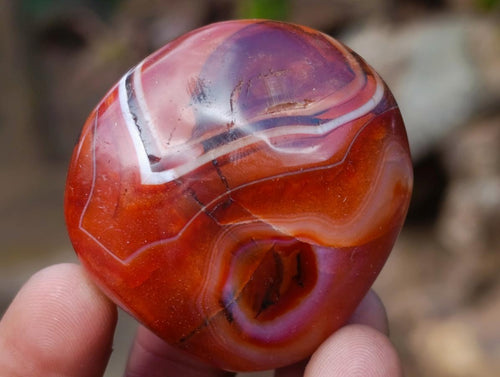 Polished Carnelian Agate Gemstone Galets x 24 From Madagascar - Toprock Gemstones and Minerals 