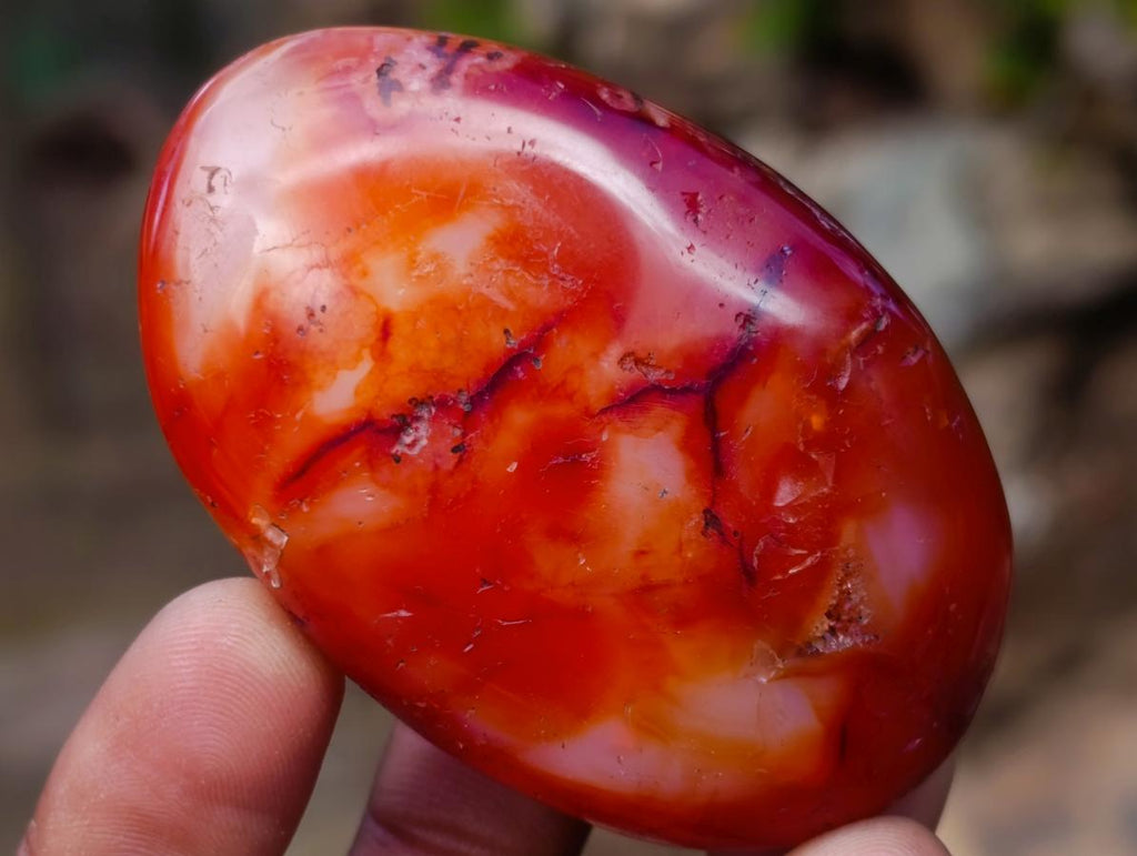 Polished Carnelian Agate Gemstone Galets x 24 From Madagascar - Toprock Gemstones and Minerals 