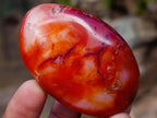 Polished Carnelian Agate Gemstone Galets x 24 From Madagascar - Toprock Gemstones and Minerals 