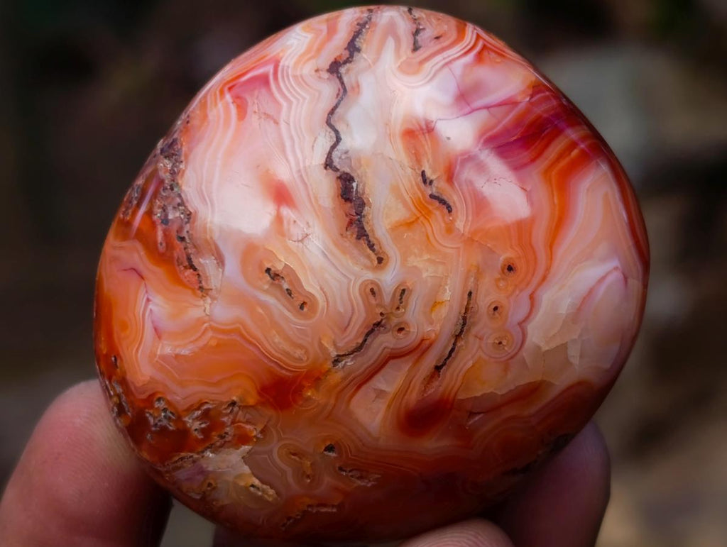 Polished Carnelian Agate Gemstone Galets x 24 From Madagascar - Toprock Gemstones and Minerals 