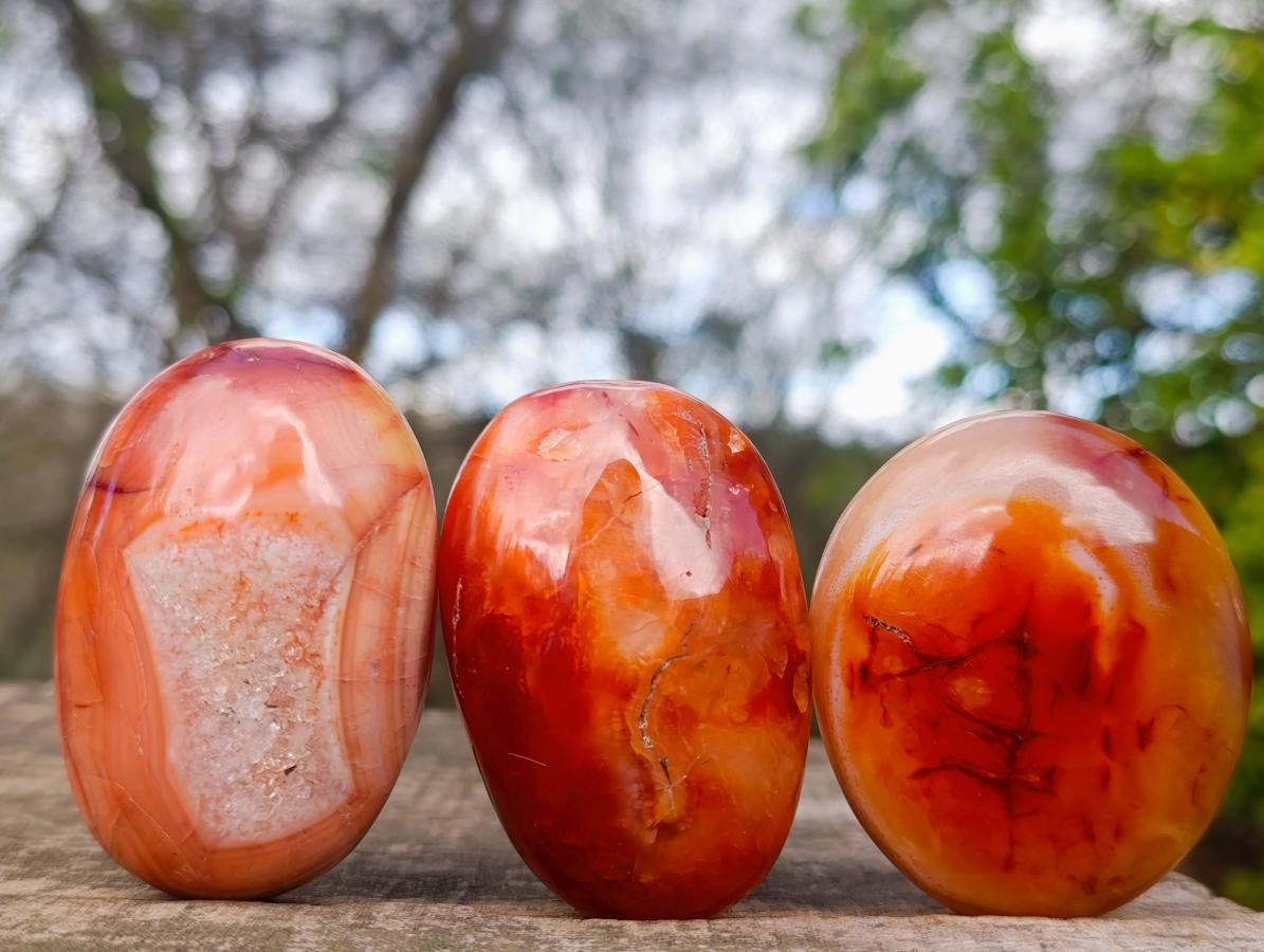 Polished Carnelian Agate Gemstone Galets x 24 From Madagascar - Toprock Gemstones and Minerals 