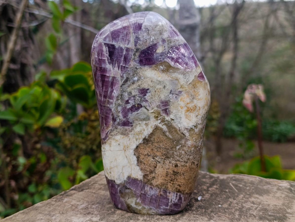 Polished Large Rare Anhydrite Standing Display Piece x 1 Tulear, Madagascar - Toprock Gemstones and Minerals 