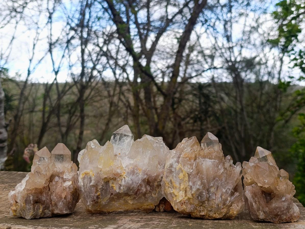 Natural Cascading Smokey and Clear Citrine Quartz Clusters x 4 From Luena, Congo - Toprock Gemstones and Minerals 