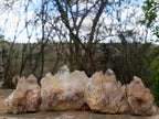 Natural Cascading Smokey and Clear Citrine Quartz Clusters x 4 From Luena, Congo - Toprock Gemstones and Minerals 