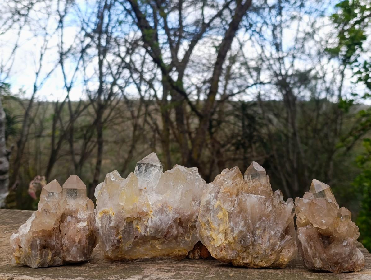 Natural Cascading Smokey and Clear Citrine Quartz Clusters x 4 From Luena, Congo - Toprock Gemstones and Minerals 