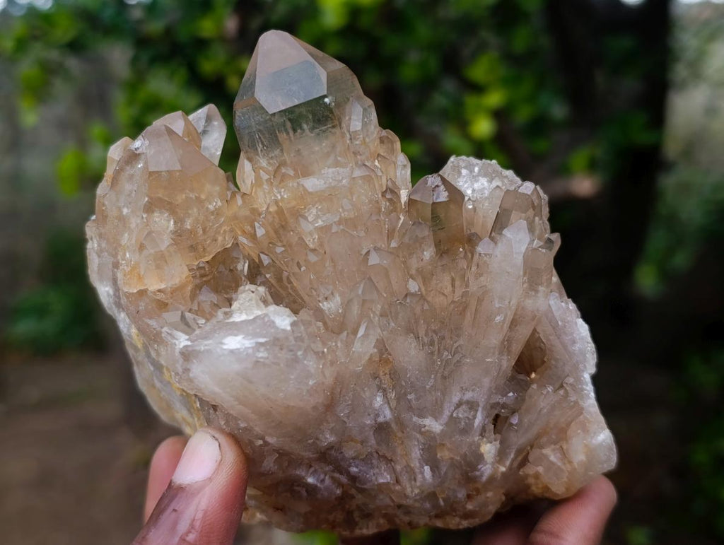 Natural Cascading Smokey and Clear Citrine Quartz Clusters x 4 From Luena, Congo - Toprock Gemstones and Minerals 