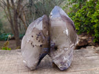 Natural Large Smokey Tessin Habit Quartz Crystals x 2 From Mulanje, Malawi - Toprock Gemstones and Minerals 