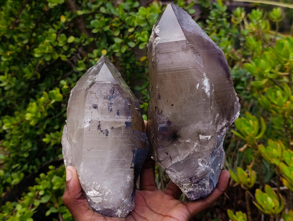 Natural Large Smokey Tessin Habit Quartz Crystals x 2 From Mulanje, Malawi - Toprock Gemstones and Minerals 