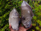 Natural Large Smokey Tessin Habit Quartz Crystals x 2 From Mulanje, Malawi - Toprock Gemstones and Minerals 
