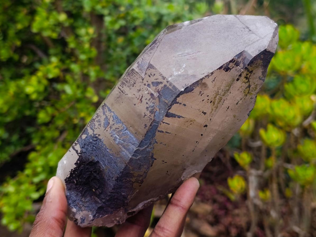 Natural Large Smokey Tessin Habit Quartz Crystals x 2 From Mulanje, Malawi - Toprock Gemstones and Minerals 