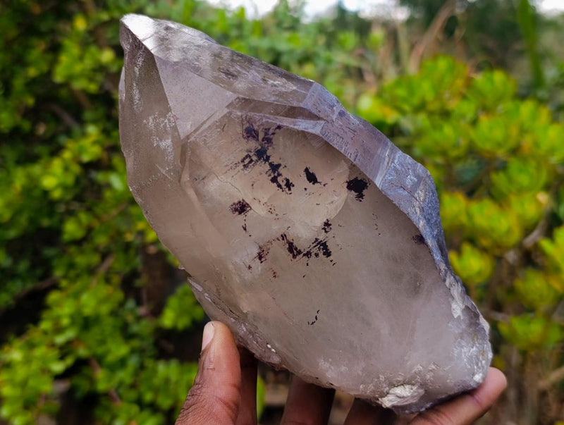 Natural Large Smokey Tessin Habit Quartz Crystals x 2 From Mulanje, Malawi - Toprock Gemstones and Minerals 