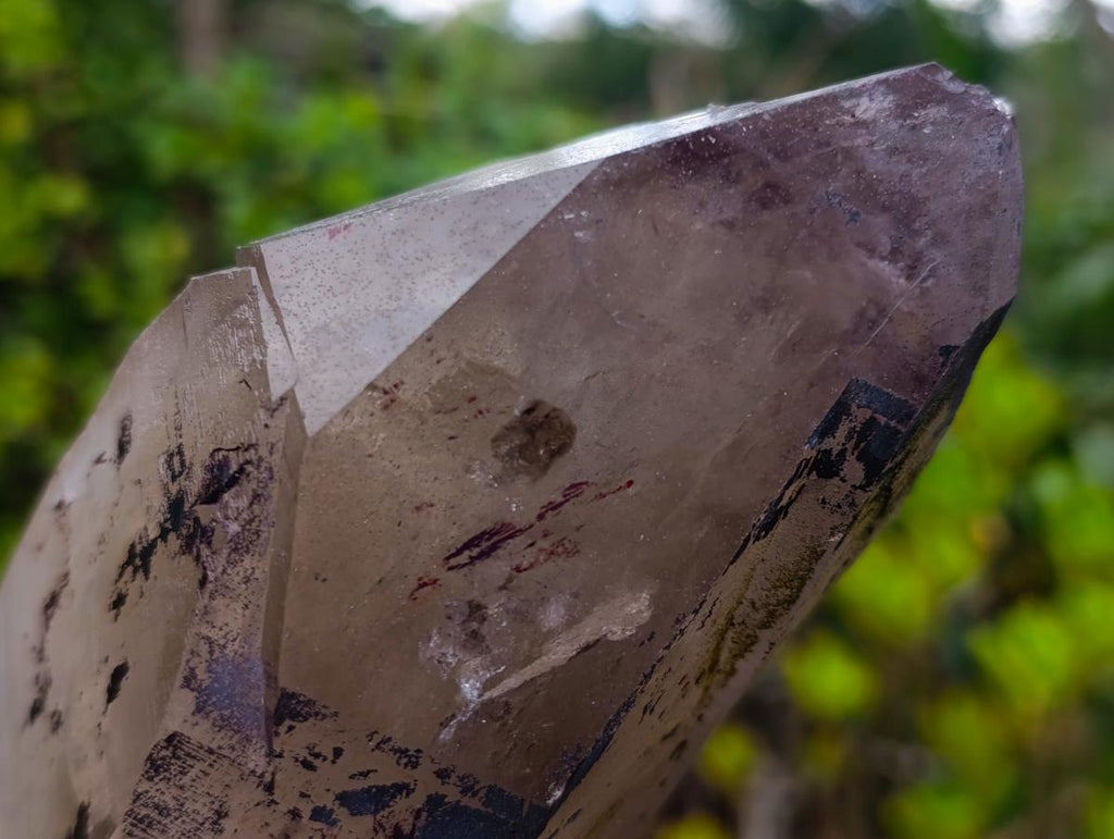 Natural Large Smokey Tessin Habit Quartz Crystals x 2 From Mulanje, Malawi - Toprock Gemstones and Minerals 