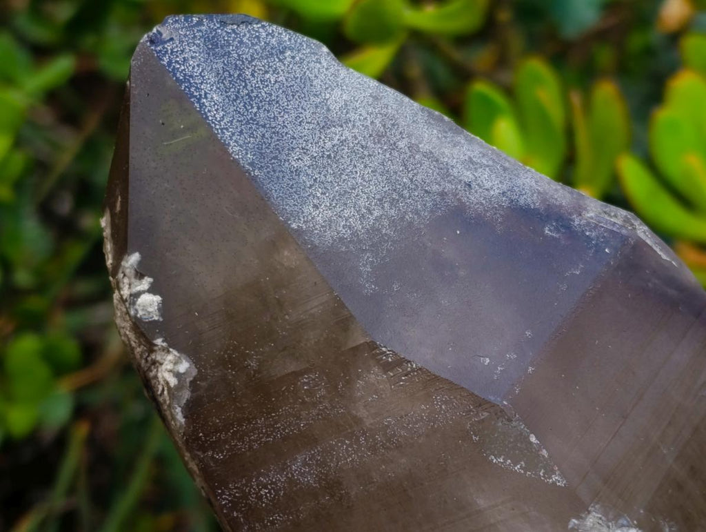 Natural Large Smokey Tessin Habit Quartz Crystals x 2 From Mulanje, Malawi - Toprock Gemstones and Minerals 