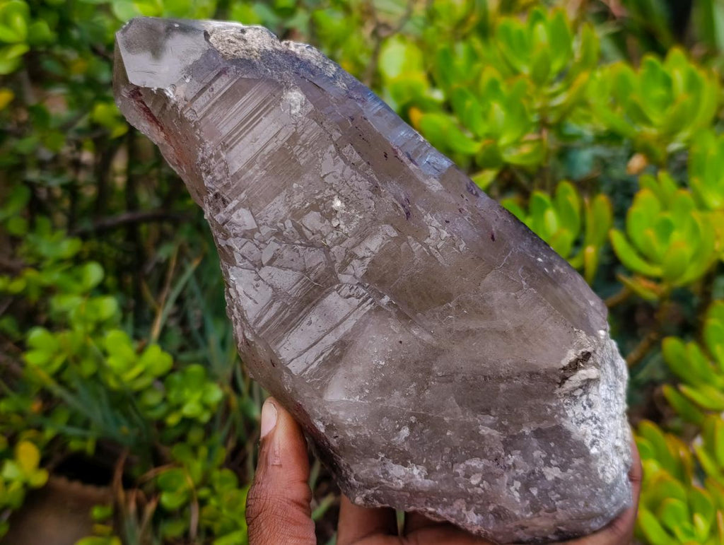 Natural Large Smokey Tessin Habit Quartz Crystals x 2 From Mulanje, Malawi - Toprock Gemstones and Minerals 