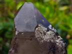 Natural Large Smokey Tessin Habit Quartz Crystals x 2 From Mulanje, Malawi - Toprock Gemstones and Minerals 