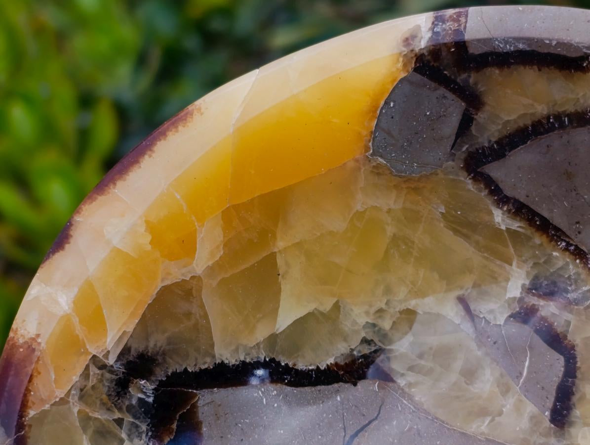 Polished Septerye Bowls x 2 From Mahajanga, Madagascar - Toprock Gemstones and Minerals 