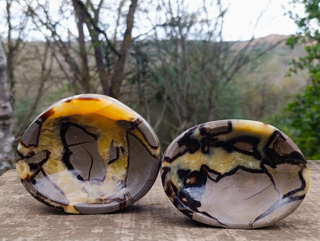 Polished Septerye Bowls x 2 From Mahajanga, Madagascar - Toprock Gemstones and Minerals 