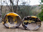 Polished Septerye Bowls x 2 From Mahajanga, Madagascar - Toprock Gemstones and Minerals 