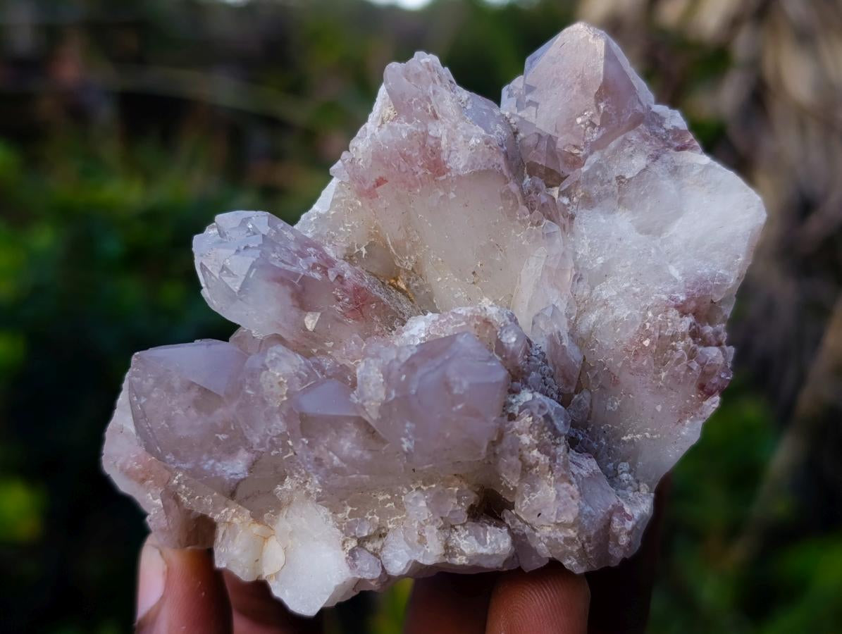 Natural Red Hematoid Quartz Crystal Clusters x 12 From Karoi, Zimbabwe - Toprock Gemstones and Minerals 