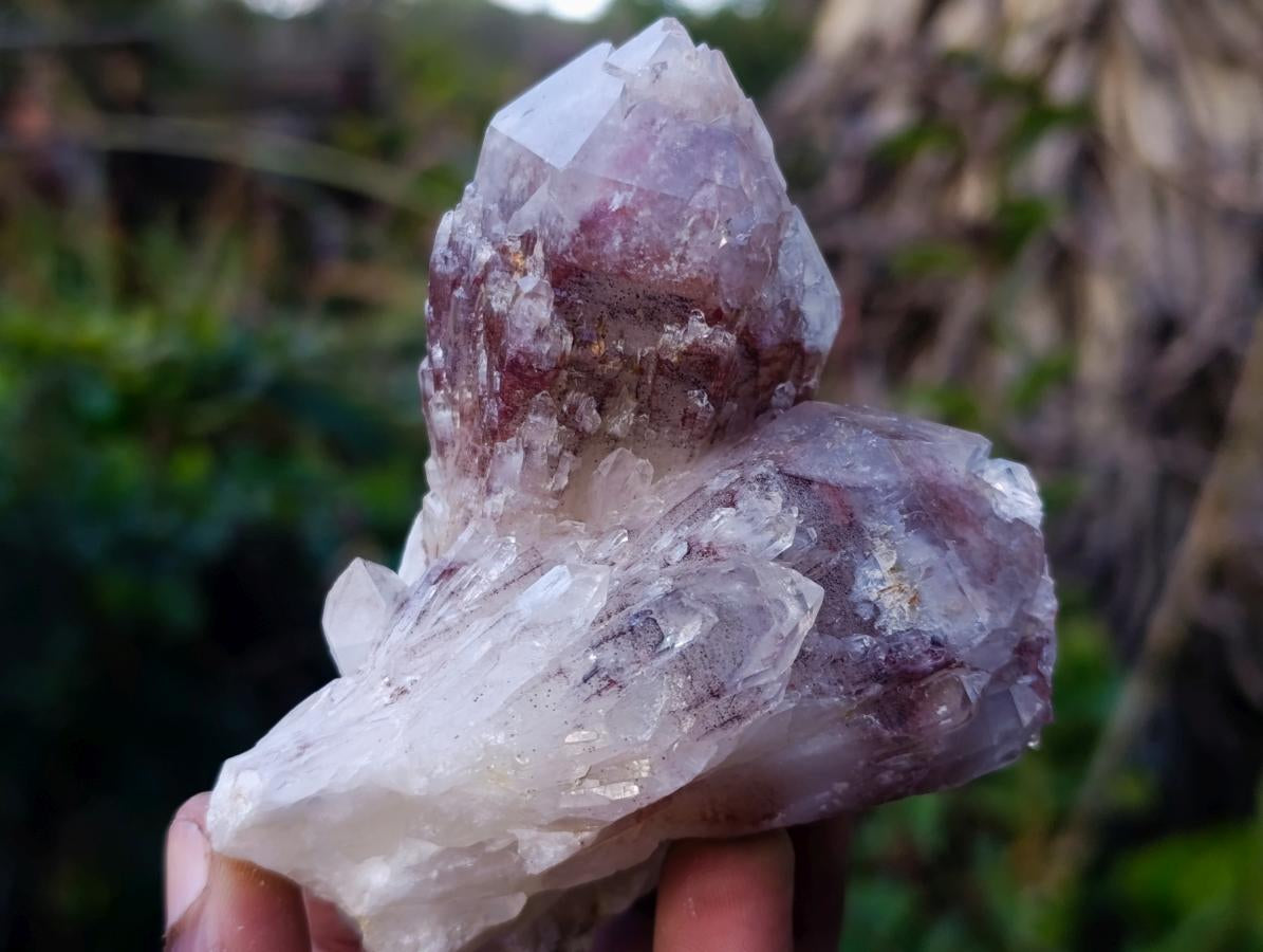 Natural Red Hematoid Quartz Crystal Clusters x 12 From Karoi, Zimbabwe - Toprock Gemstones and Minerals 