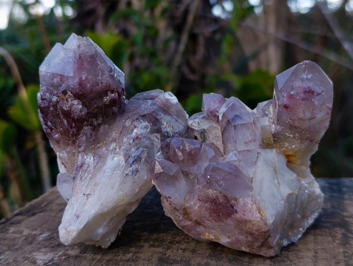 Natural Red Hematoid Quartz Crystal Clusters x 12 From Karoi, Zimbabwe - Toprock Gemstones and Minerals 