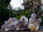 Natural Red Hematoid Quartz Crystal Clusters x 12 From Karoi, Zimbabwe - Toprock Gemstones and Minerals 