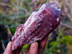 Natural Red Hematoid Quartz Crystal Clusters x 12 From Karoi, Zimbabwe - Toprock Gemstones and Minerals 