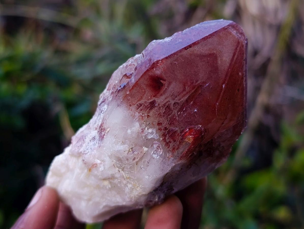 Natural Red Hematoid Quartz Crystal Clusters x 12 From Karoi, Zimbabwe - Toprock Gemstones and Minerals 