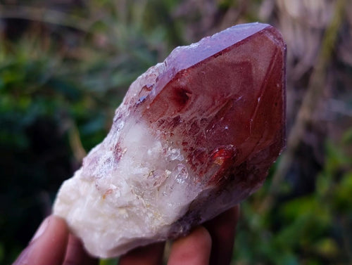 Natural Red Hematoid Quartz Crystal Clusters x 12 From Karoi, Zimbabwe - Toprock Gemstones and Minerals 