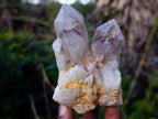 Natural Red Hematoid Quartz Crystal Clusters x 12 From Karoi, Zimbabwe - Toprock Gemstones and Minerals 