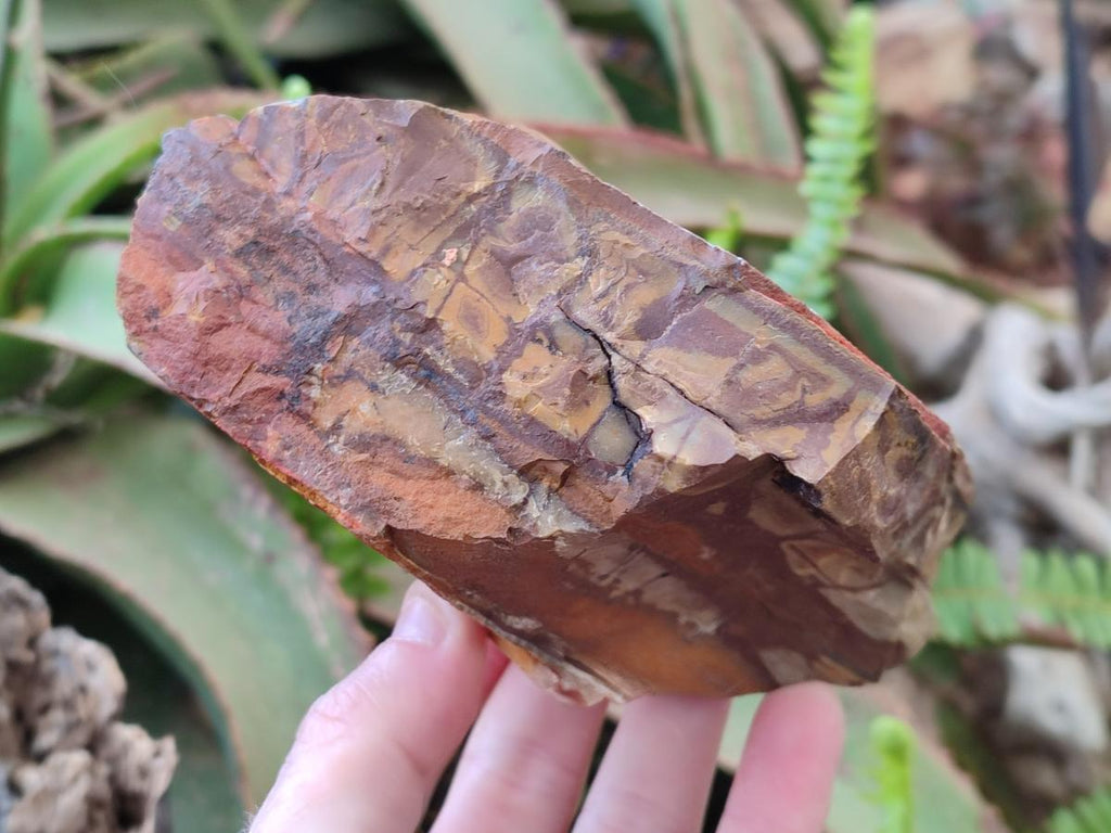 Natural Nguni Jasper Cobbed Specimens x 3 From Northern Cape, South Africa - Toprock Gemstones and Minerals 