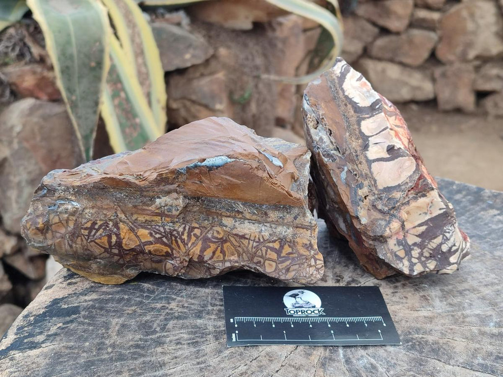 Natural Nguni Jasper Cobbed Specimens x 3 From Northern Cape, South Africa - Toprock Gemstones and Minerals 