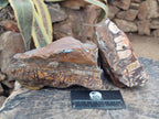 Natural Nguni Jasper Cobbed Specimens x 3 From Northern Cape, South Africa - Toprock Gemstones and Minerals 